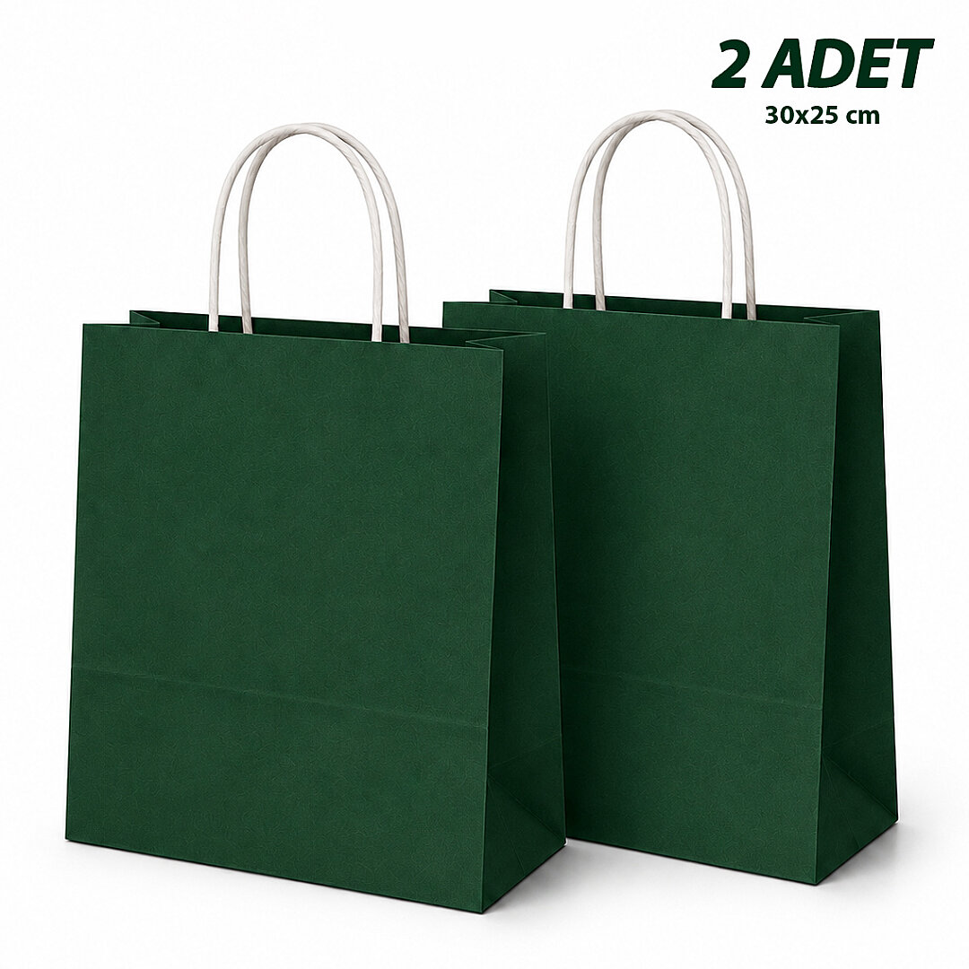 30x25 cm Hediyelik Kağıt Çanta Yeşil 2 Adet - Beysüs