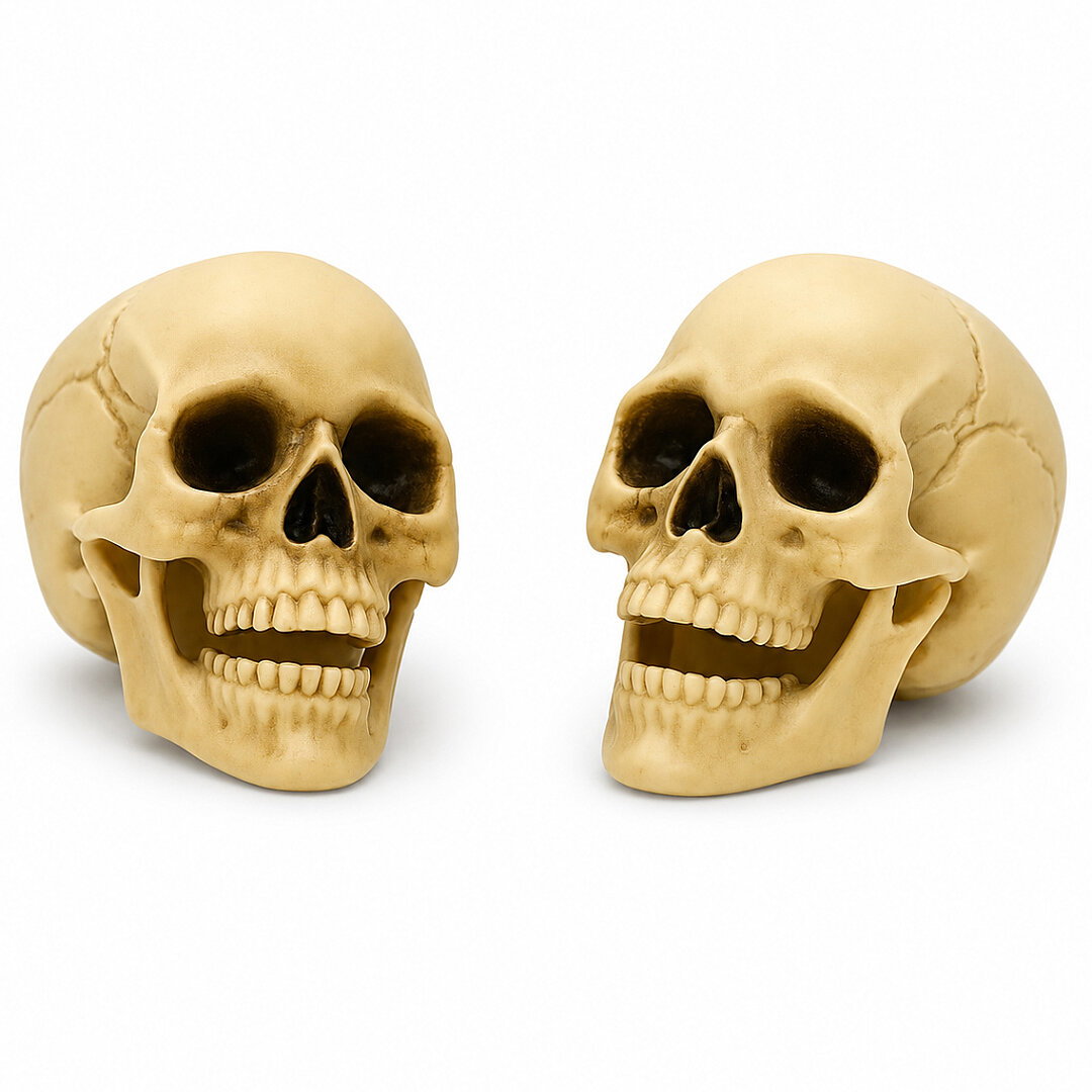 Halloween Kuru Kafa İkili Beyaz - Beysüs