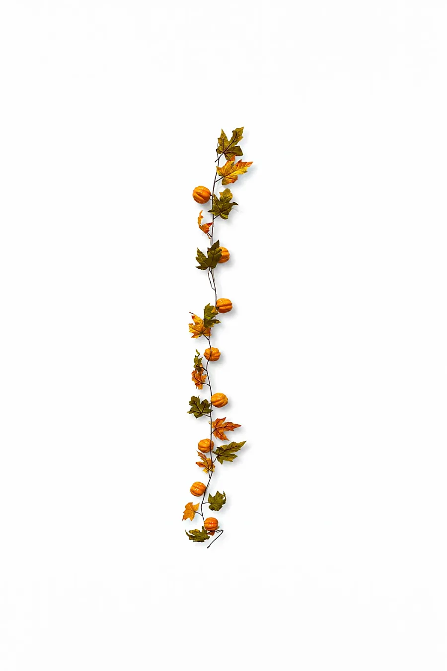 Cadılar Bayramı Bal Kabağı Sarmaşık - 7