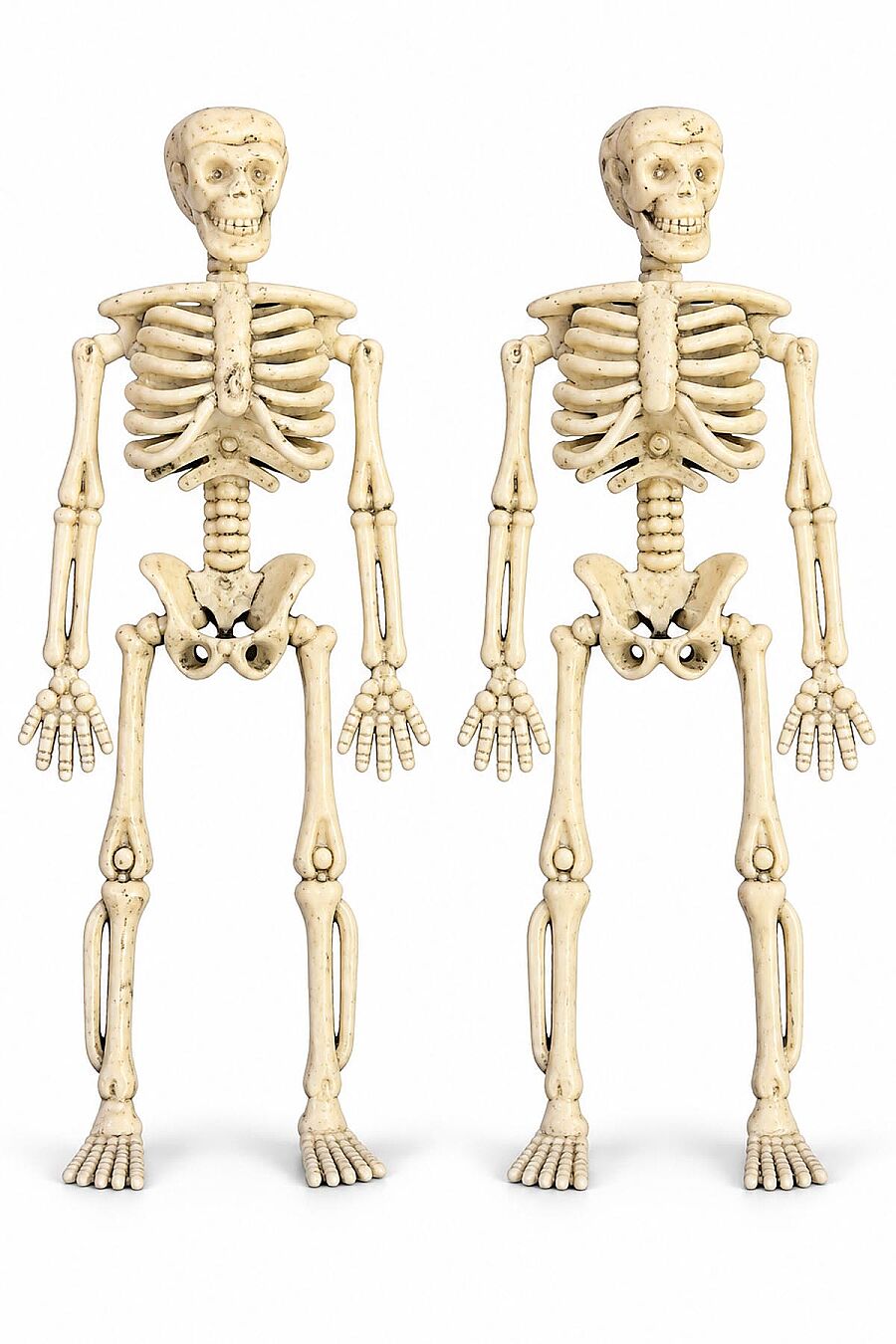 Halloween Cadılar Bayramı Iskelet 2 Li - 2