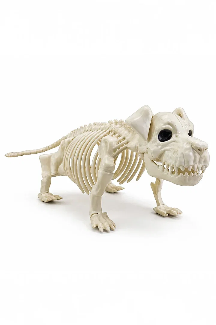 Cadılar Bayramı Korku Temalı İskelet Köpek Figürü 44cm - Beysüs