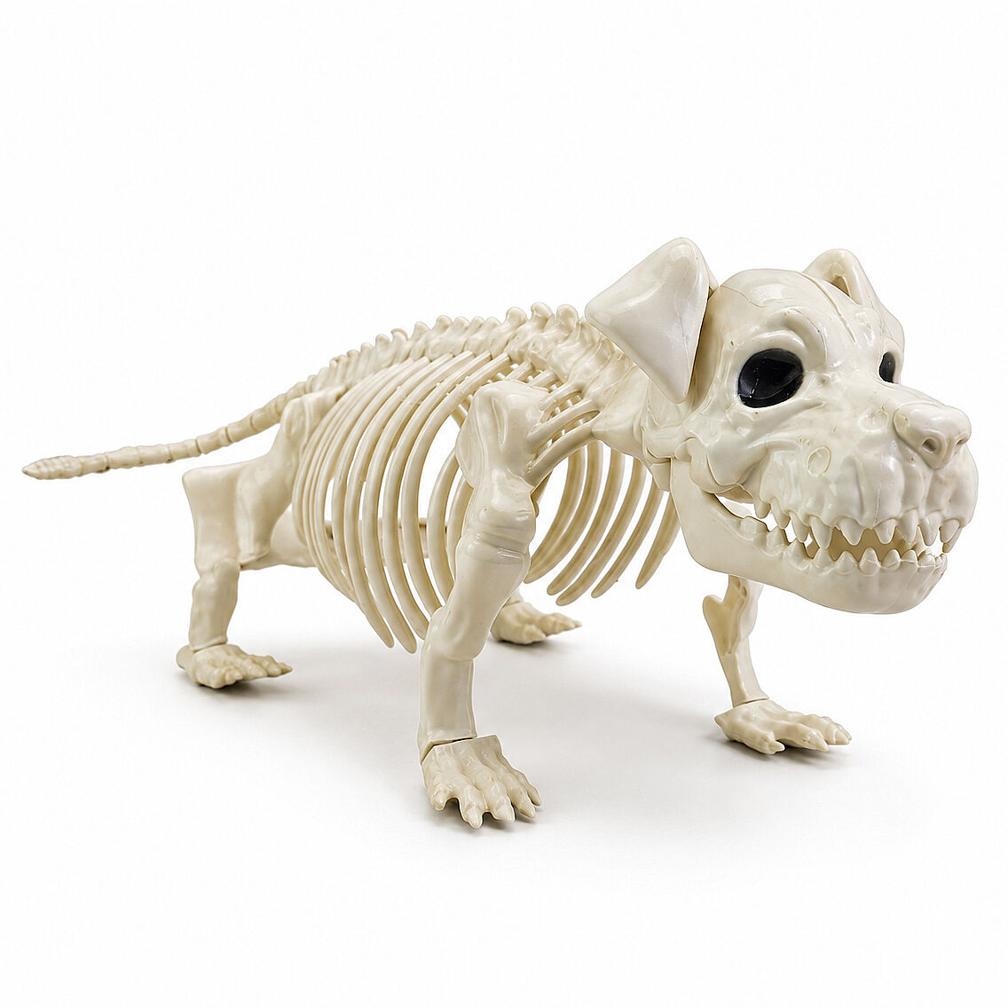 Cadılar Bayramı Korku Temalı İskelet Köpek Figürü 44cm - 1