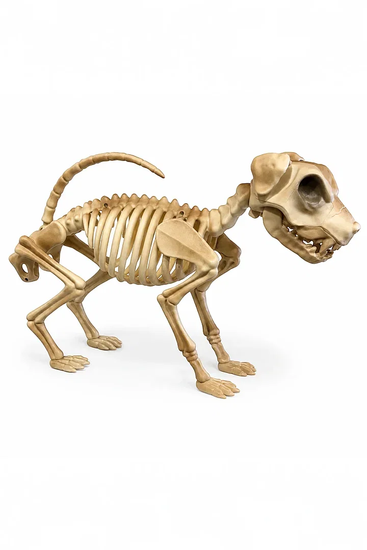 Cadılar Bayramı Korku Temalı İskelet Köpek Figürü 47cm - Beysüs