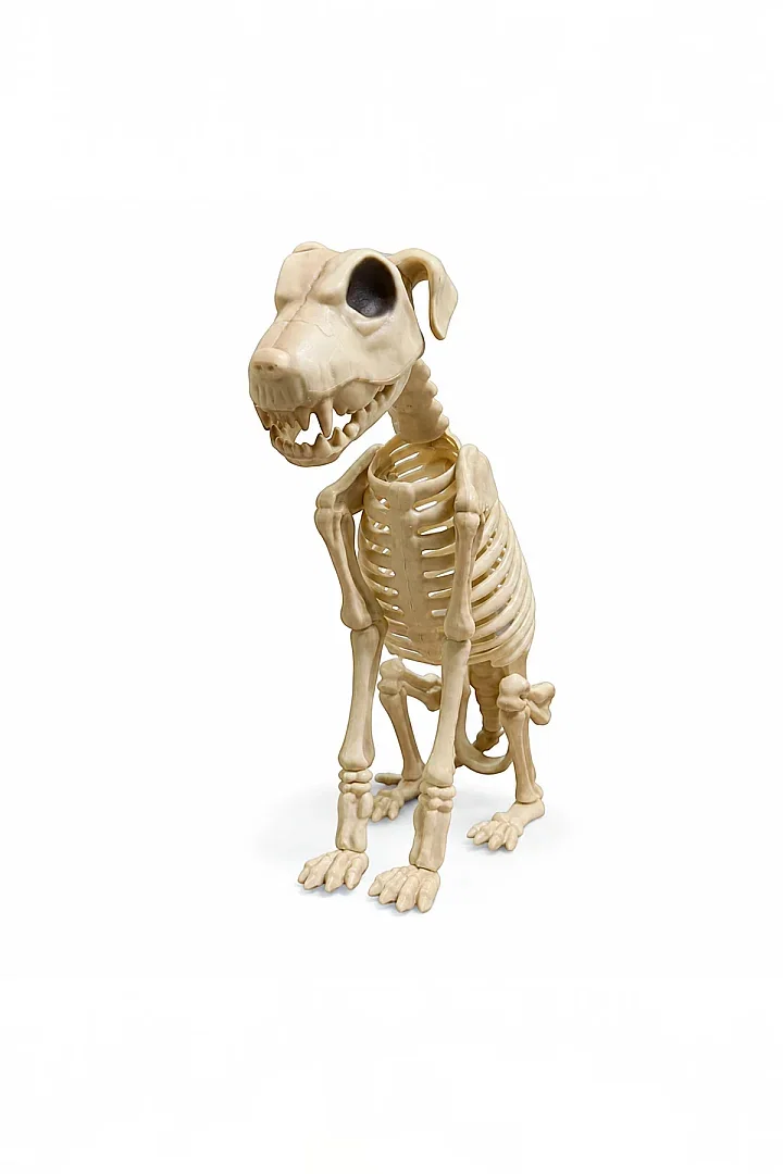 Cadılar Bayramı Korku Temalı Oturan İskelet Köpek Figürü 38cm - Beysüs