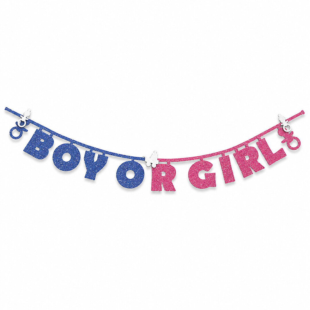 Girl Or Boy Eva Banner Pembe - Mavi - 2