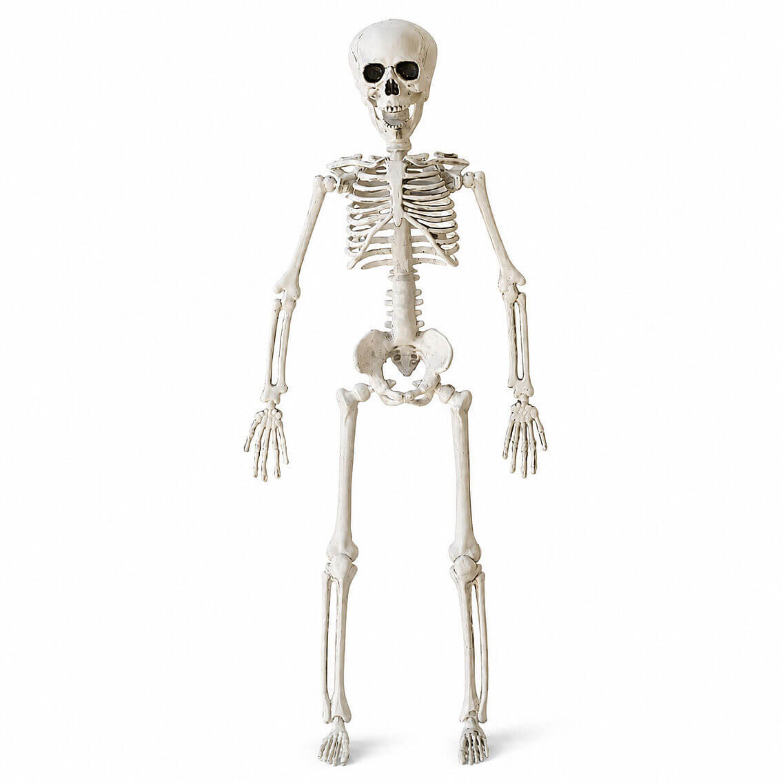 Cadılar Bayramı Halloween İskelet Şekil Alabilen 40 cm - 5