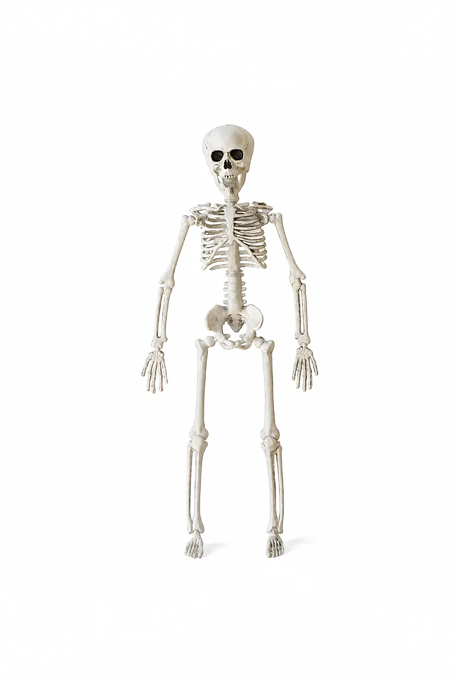 Cadılar Bayramı Halloween İskelet Şekil Alabilen 40 cm - 5