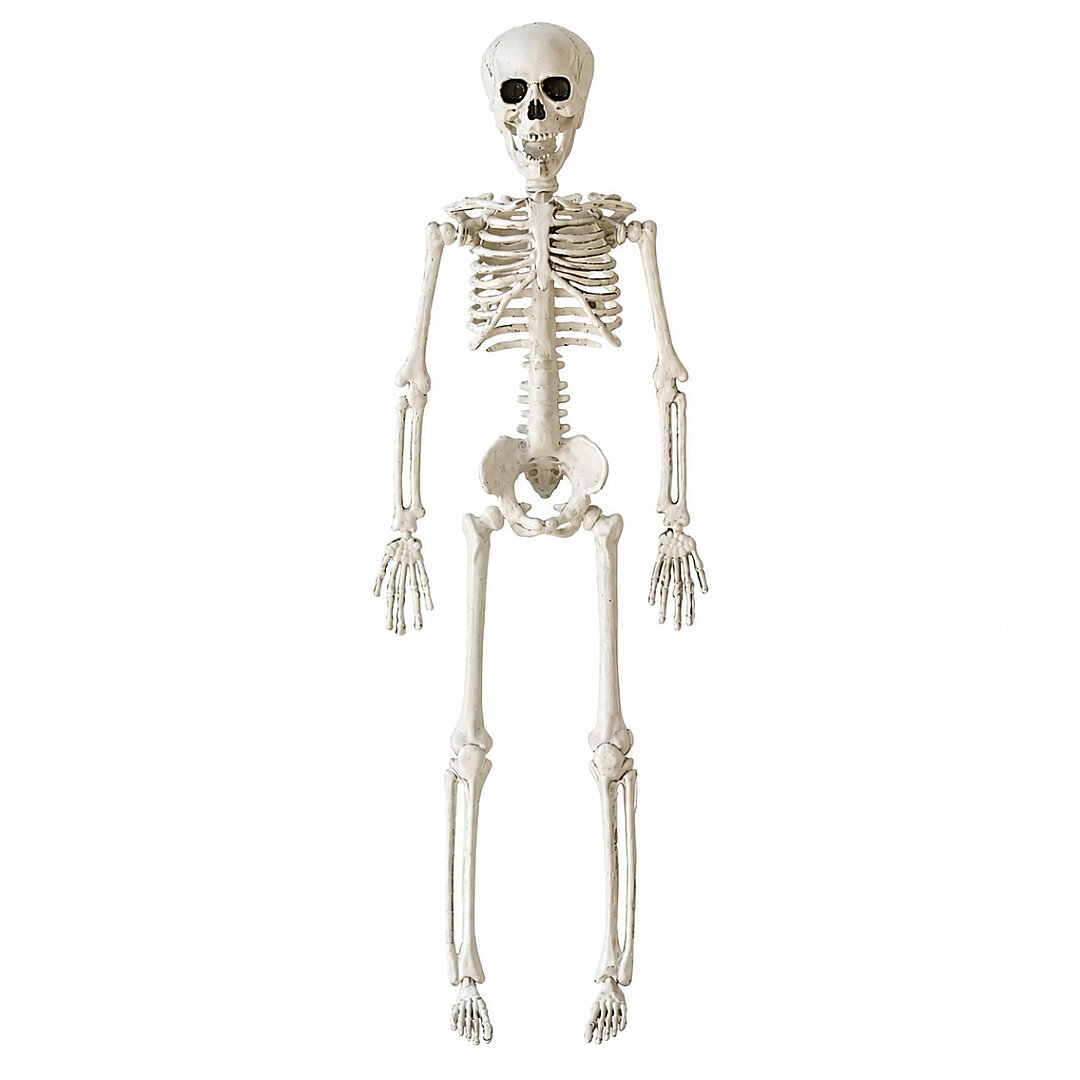 Halloween İskelet Şekil Alabilen 40 cm - 4