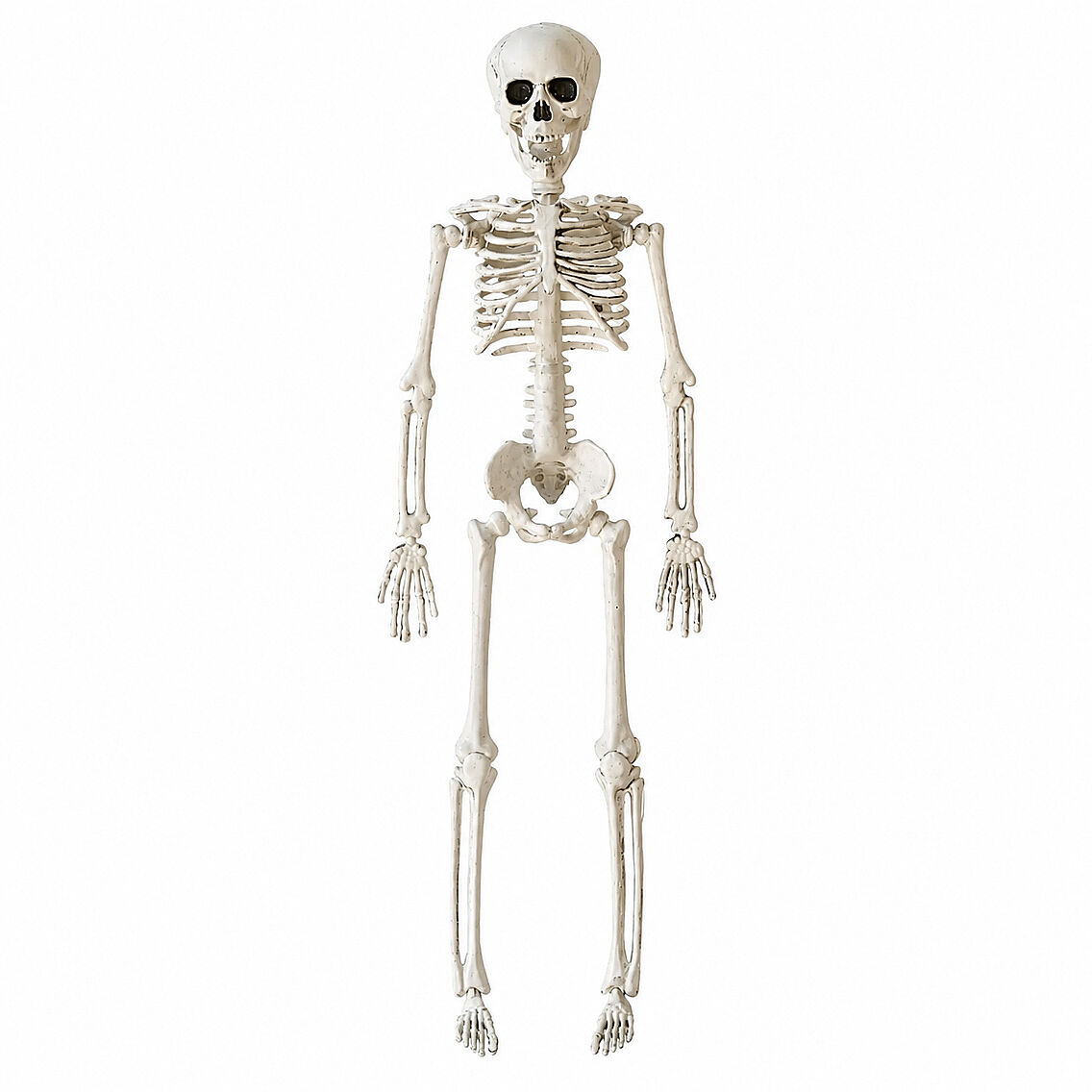 Halloween İskelet Şekil Alabilen 40 cm - 4