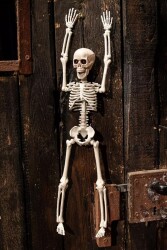 Beysüs Halloween İskelet Şekil Alabilen 40 cm - 3