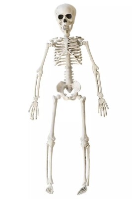 Beysüs Halloween İskelet Şekil Alabilen 40 cm - 4