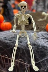 Beysüs Halloween İskelet Şekil Alabilen 40 cm - 5