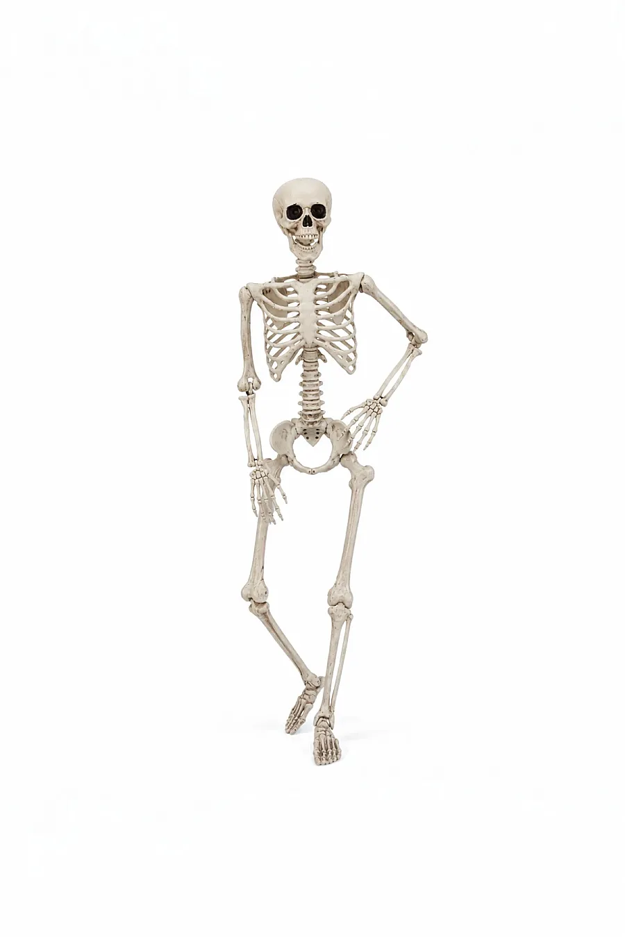Halloween İskelet Şekil Alabilen 90 cm - 4