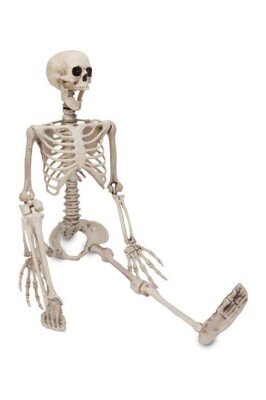 Beysüs Halloween İskelet Şekil Alabilen 90 cm - 1