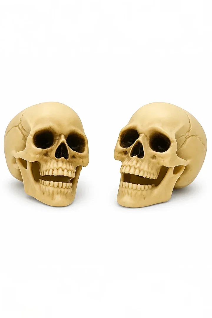 Halloween Kuru Kafa İkili Beyaz - 3