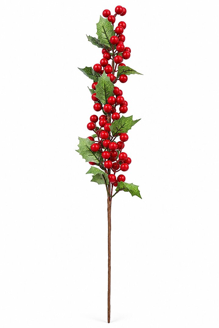 Kokina Dalı 73 cm - Beysüs