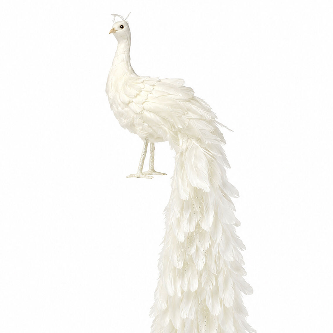 Yılbaşı Dekoru Beyaz Tavus Kuşu 150 cm - 3