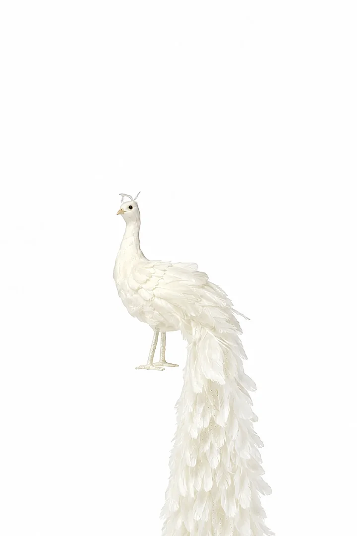 Yılbaşı Dekoru Beyaz Tavus Kuşu 150 cm - 6