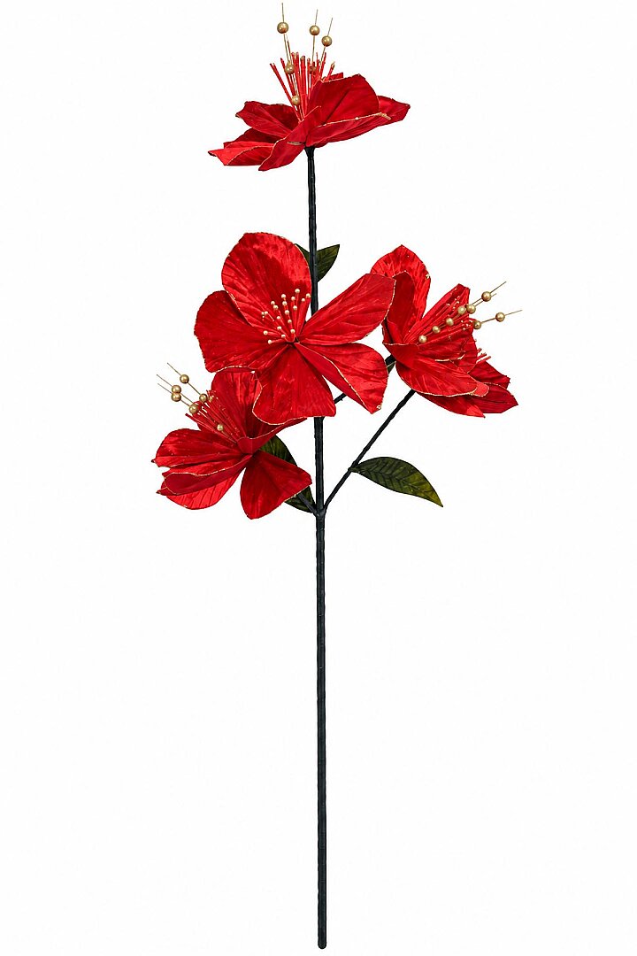 Yılbaşı Kırmızı Ata Çiçek 135 cm - Beysüs (1)